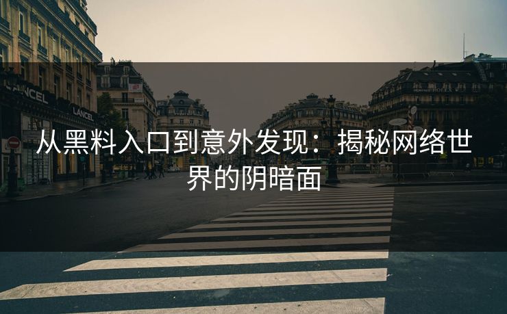 从黑料入口到意外发现：揭秘网络世界的阴暗面