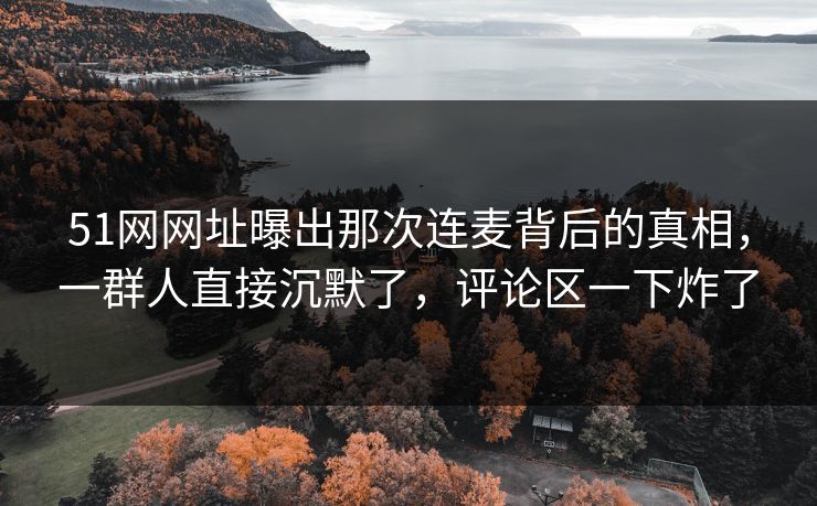 51网网址曝出那次连麦背后的真相，一群人直接沉默了，评论区一下炸了