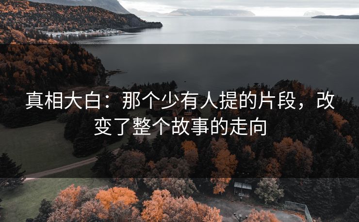 真相大白:那个少有人提的片段,改变了整个故事的走向 真相大白:那个少有人提的片段,改变了整个故事的走向
